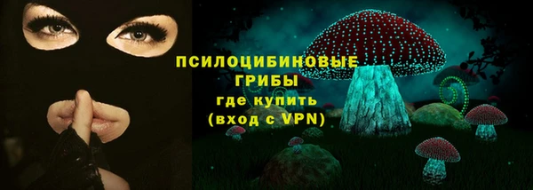 стаф Алексин