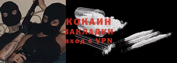 стаф Алексин