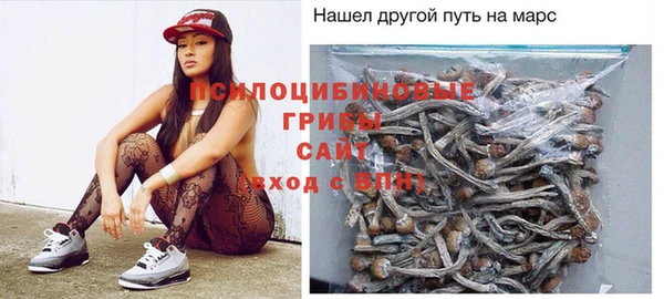 стаф Алексин