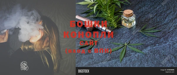 PSILOCYBIN Липки