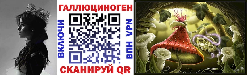 Псилоцибиновые грибы мицелий Ковров